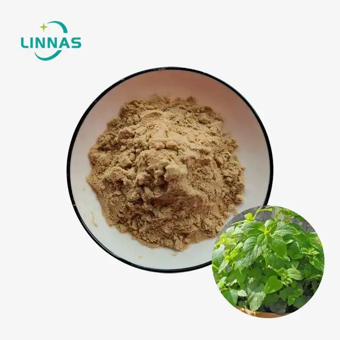 Lemon Balm Extract Powder